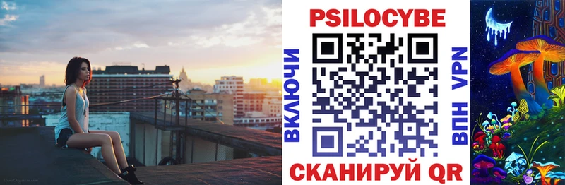 Галлюциногенные грибы Psilocybe  как найти наркотики  сайты даркнета наркотические препараты  Медвежьегорск 